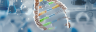 biologyblogs.in