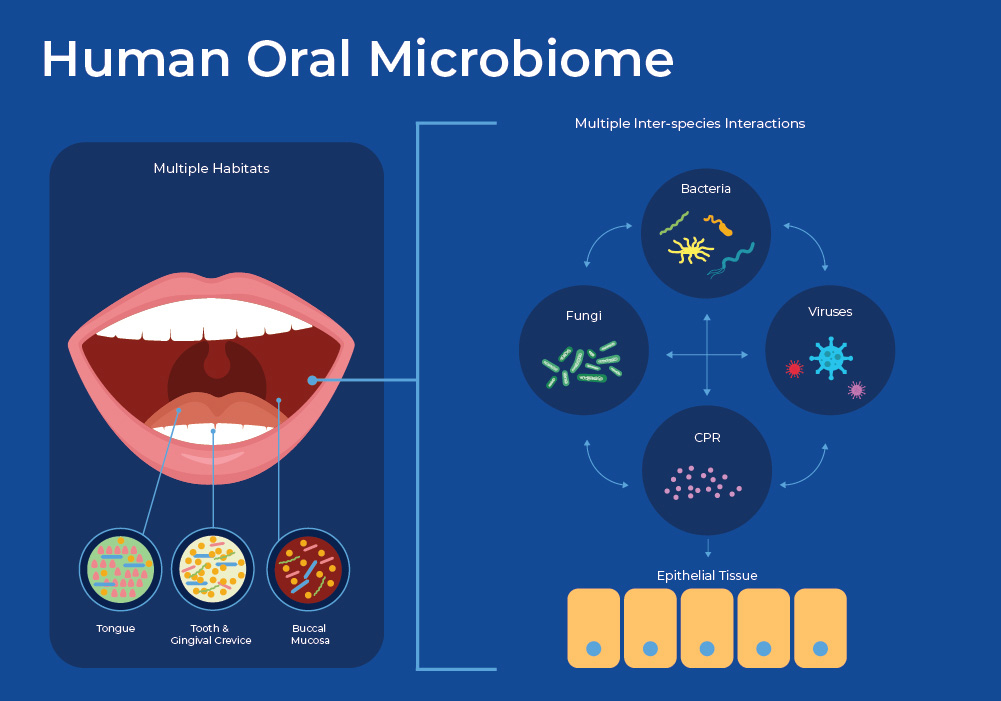 Illustration of oral microbiome showing bacteria and DNA elements in the human mouth